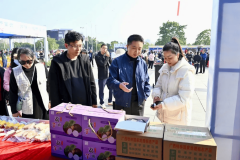 <b>赋能芋财产 共探新赛道——桂林市电商协会赴荔</b>